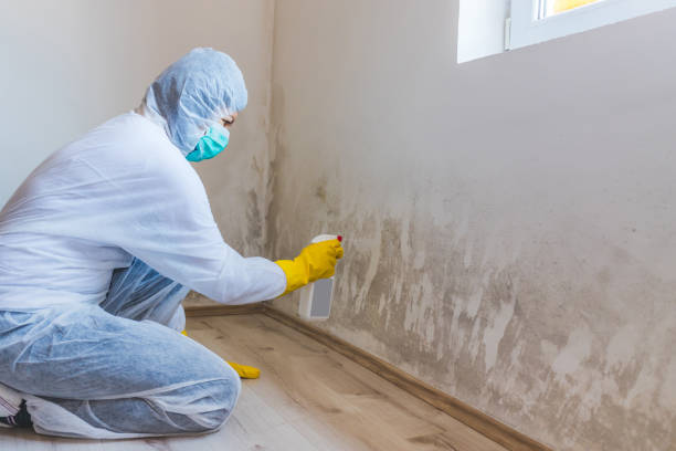 Licensed Mold Testing service in Franklin Lakes, NJ - WQB Mold Removal