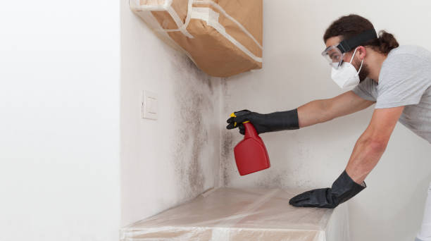 Professional Mold Testing technician working in Franklin Lakes, NJ