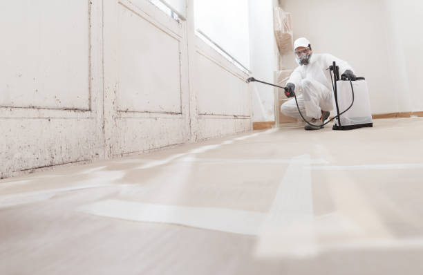 24/7 Emergency Mold Testing experts in Franklin Lakes, NJ