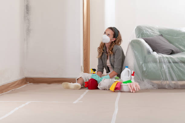Reliable Mold Testing contractor in Franklin Lakes, NJ by WQB Mold Removal